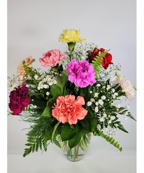 Carnation Celebration