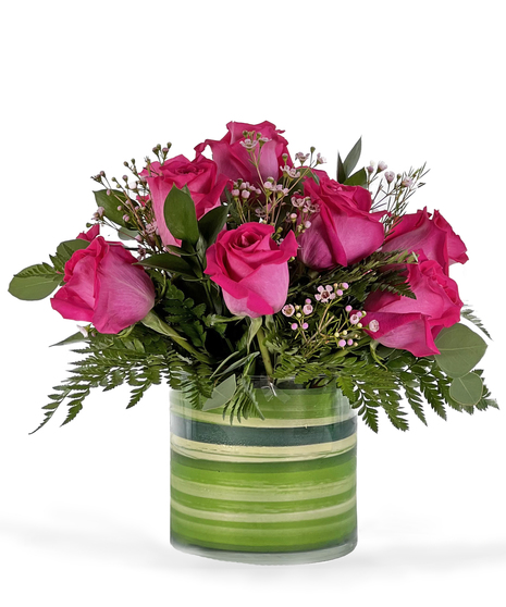 Hot Pink Roses