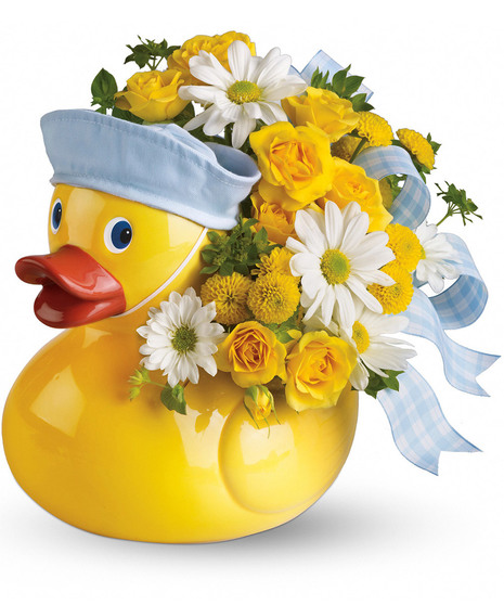 Ducky Delight - Boy