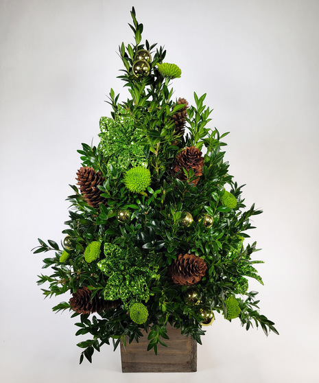 Spruced Up Boxwood Tree