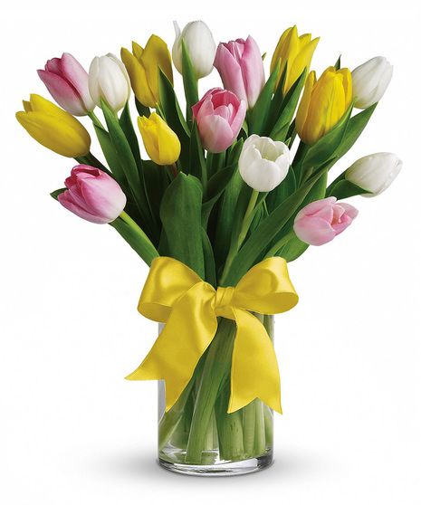 Tulip Treasure