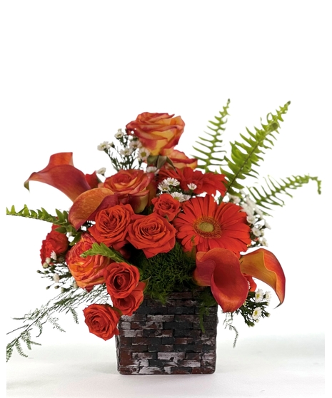 A Dream in Tangerine